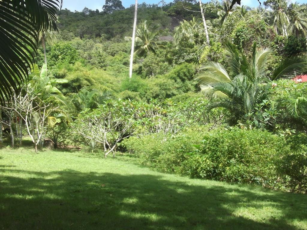 Wilai Villa Lamai Maret Oda fotoğraf