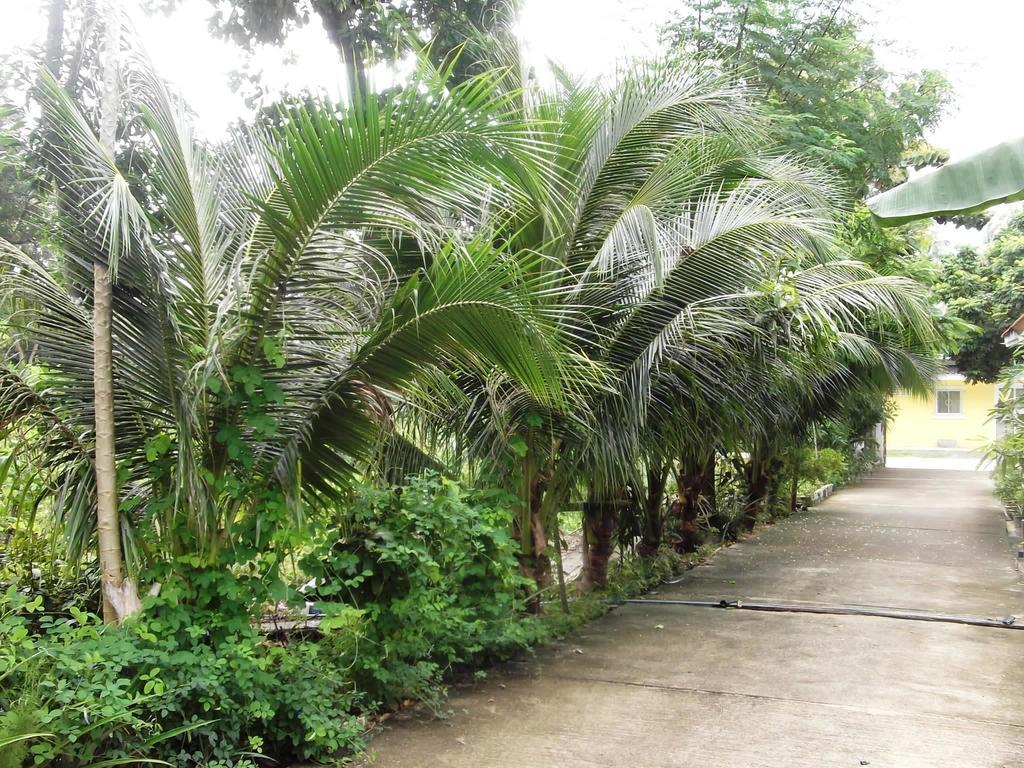 Wilai Villa Lamai Maret Oda fotoğraf