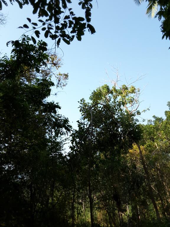 Wilai Villa Lamai Maret Dış mekan fotoğraf